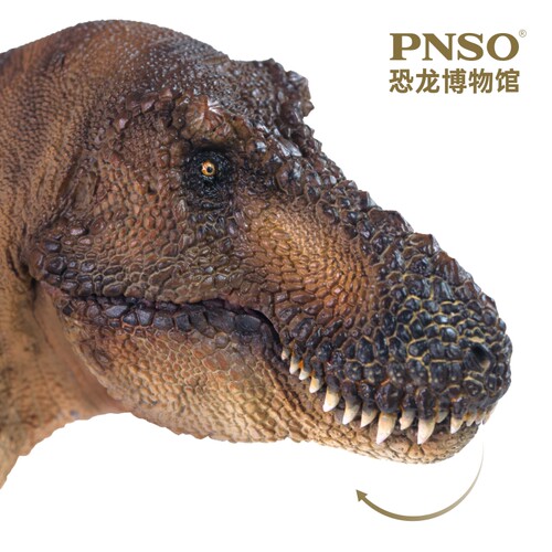 PNSO霸王龙安德莉亚恐龙博物馆1比35科学艺术模型 - 图1