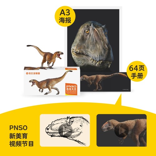 PNSO羽王龙银器恐龙大王成长陪伴模型52 - 图2