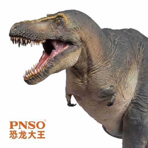 PNSO特暴龙川子恐龙大王成长陪伴模型51 - 图2