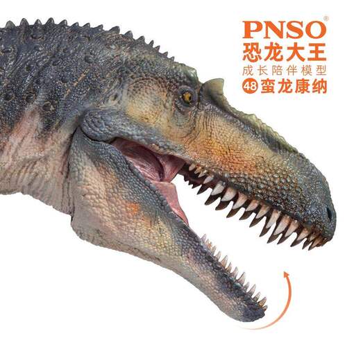 PNSO蛮龙康纳恐龙大王成长陪伴模型48 - 图0