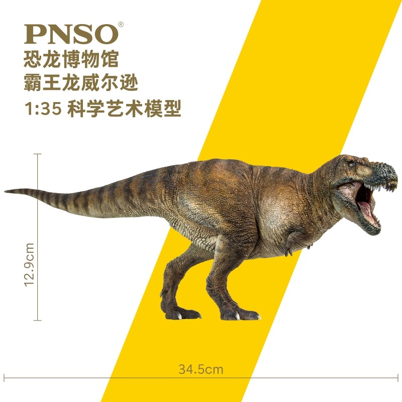 PNSO霸王龙威尔逊恐龙博物馆1比35科学艺术模型 - 图1