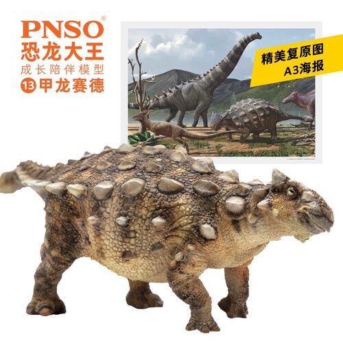 PNSO甲龙赛德恐龙大王成长陪伴模型13 - 图0