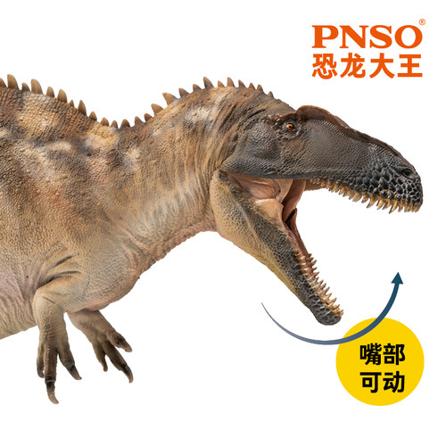 PNSO高棘龙弗格斯恐龙大王成长陪伴模型61 - 图3