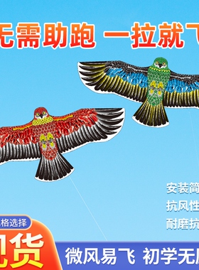 潍坊老鹰风筝大人儿童高端大型