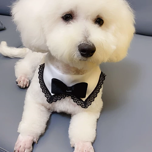 Шарф, слюнявчик, галстук-бабочка, аксессуар