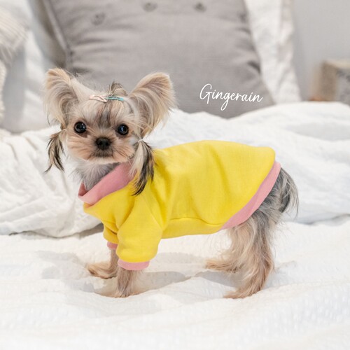 GINGERAIN 面料超级好!小型犬衣服马尔济斯约克夏保暖撞色棉T恤 - 图1