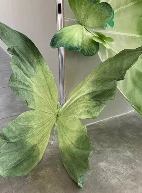 夏天绿色大蝴蝶美陈装饰摆件拍照打卡背景墙场景布置蝴蝶艺术装置