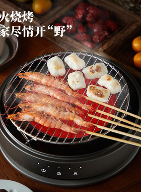 高档小型家用养生烧水煮茶电陶炉