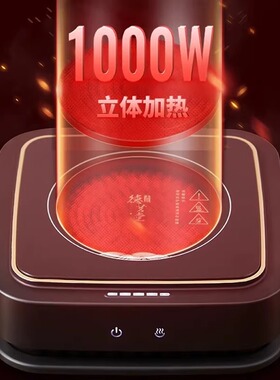 德茗堂三代蒸煮茶电陶炉小型简约
