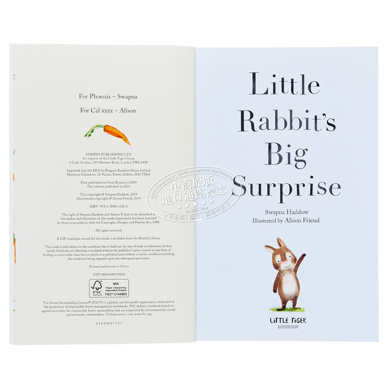 全彩章节书 小兔子大惊喜 Little Rabbits Big Surprise英文原版 儿童绘本故事 初级章节书 5-8岁 精美彩色插图 又日新 - 图2