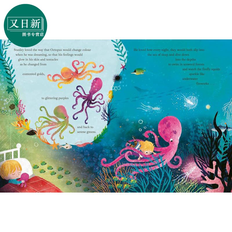 男孩和章鱼 Carmen Saldana The Boy and the Octopus 英文原版 儿童绘本 图画故事书 亲子读物 进口童书 3-7岁 又日新