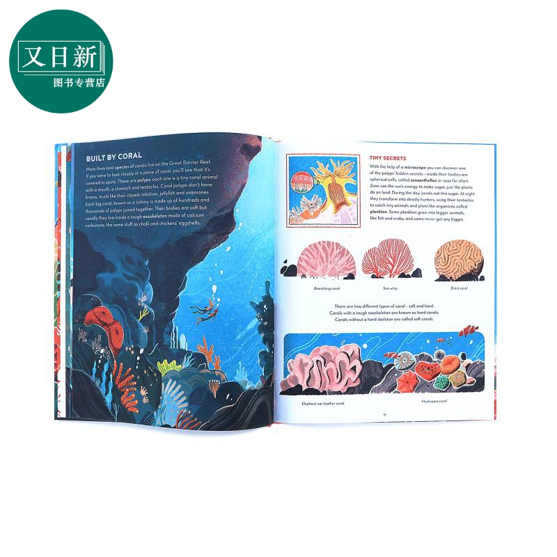 Lisk Feng The Great Barrier Reef大堡礁精品绘本地理科普精装3-6岁-图2