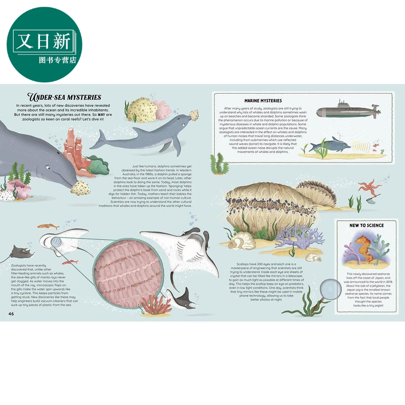 The Who What Why of Zoology The Incredible Science of the Animal Kingdom动物王国不可思议的科学 英文原版 又日新 - 图2