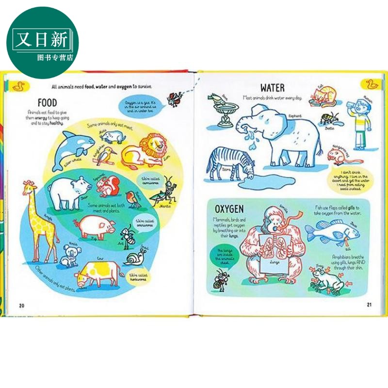 All the Science You Need to Know By Age 7 7岁时,你所需要知道的科学 英文原版进口 儿童科普绘本 知识百科 又日新