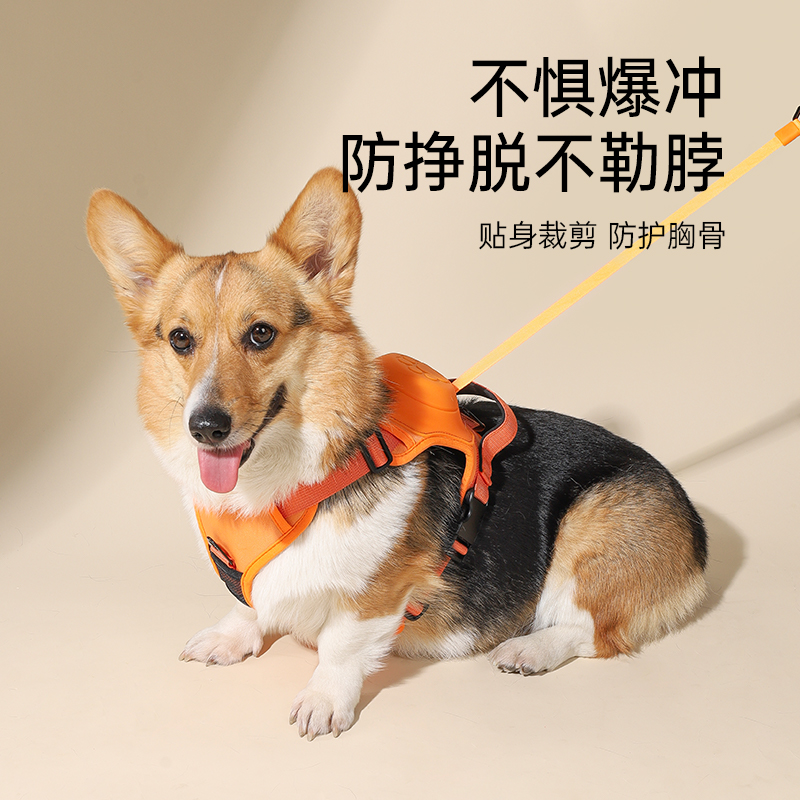 狗狗三合一胸背带二合一伸缩牵引绳一体式宠物背心式防挣脱遛狗绳