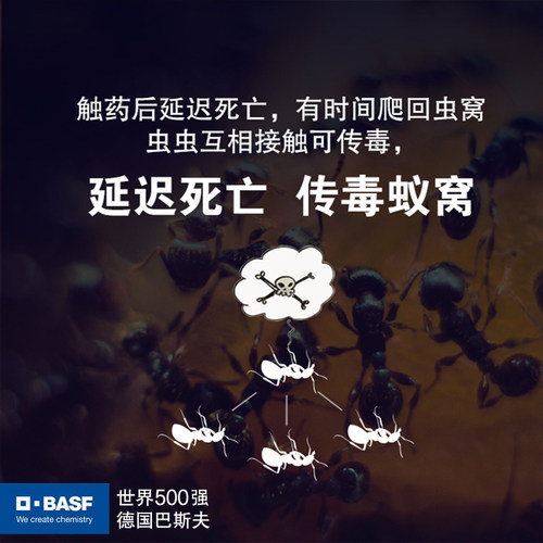 巴斯夫家用灭蚁蚂蚁药杀虫剂全窝呋虫胺粉端室内户外小黄家蚁专用 - 图1