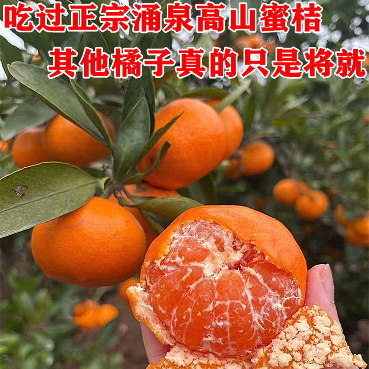 正宗临海涌泉蜜桔应季新鲜水果橘子10斤整箱黄岩蜜桔现摘旗舰店,淘宝优惠券,粉丝福利购,淘宝优惠卷