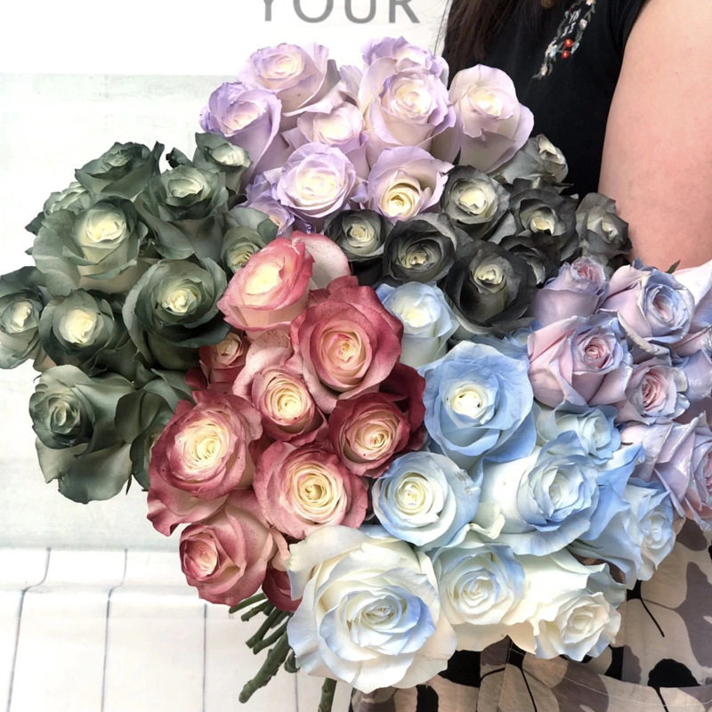 高品质花艺喷漆鲜花喷色剂乌梅子酱碎冰蓝花颜色花束调色剂,淘宝优惠券,粉丝福利购,淘宝优惠卷