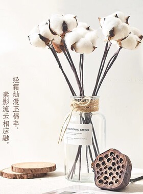 棉花干花花束永生花拍摄道具