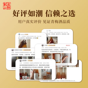 古越龙山果酒青梅黄酒500ml瓶装无焦糖色女士微醺糯米甜酒梅子酒