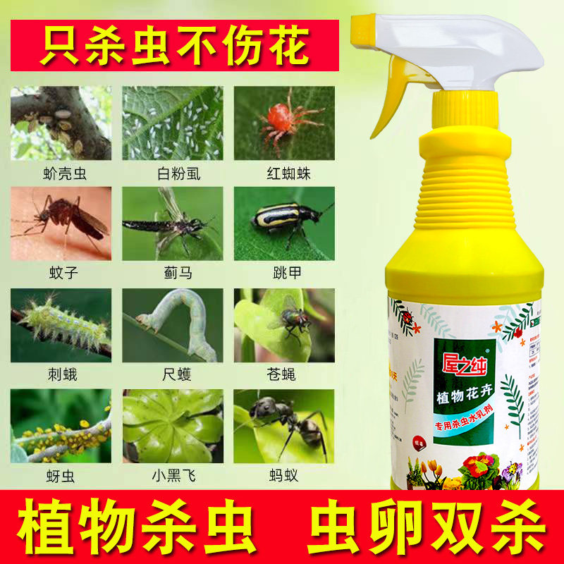 花卉杀虫剂植物土壤灭花盆小飞虫药绿植月季