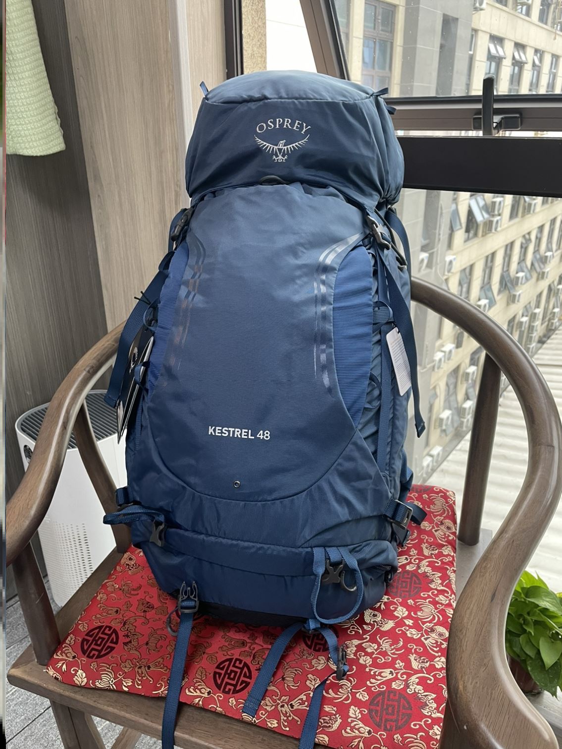 Osprey Kestrel户外小鹰58升徒步登山双肩背包男女防水36L38L48L - 图2