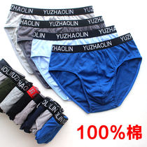 Pure Cotton Triangle Mens Underwear (5 Dress) Letter Gluten Youth Cotton Medium Waist Fashion Loose Boys Bottom Pants