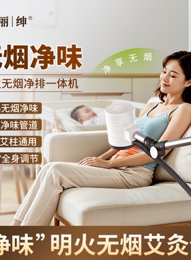 爱丽绅明火无烟净排一体机