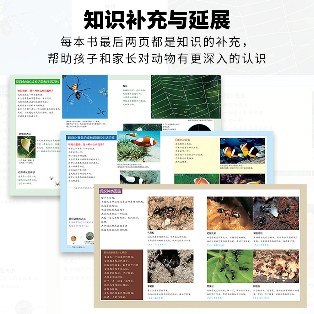 【人民日报推荐】生命的故事 3-6-8岁 礼盒装 儿童少儿昆虫科普百科全书动物世界 生命简史幼儿园儿童图书写真集 获奖经典绘本