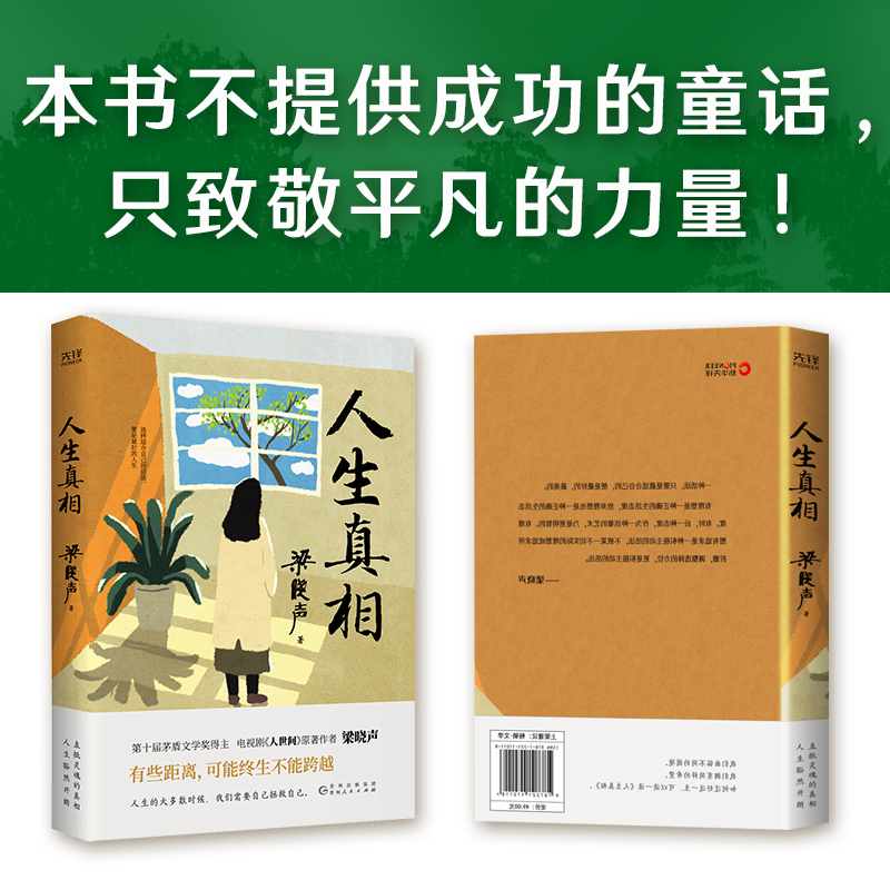 人生真相 中国现实主义作家茅盾文学奖得主梁晓声 本书不提供成功的童话，只致敬平凡的力量 写给不愿对现实投降的人 - 图0