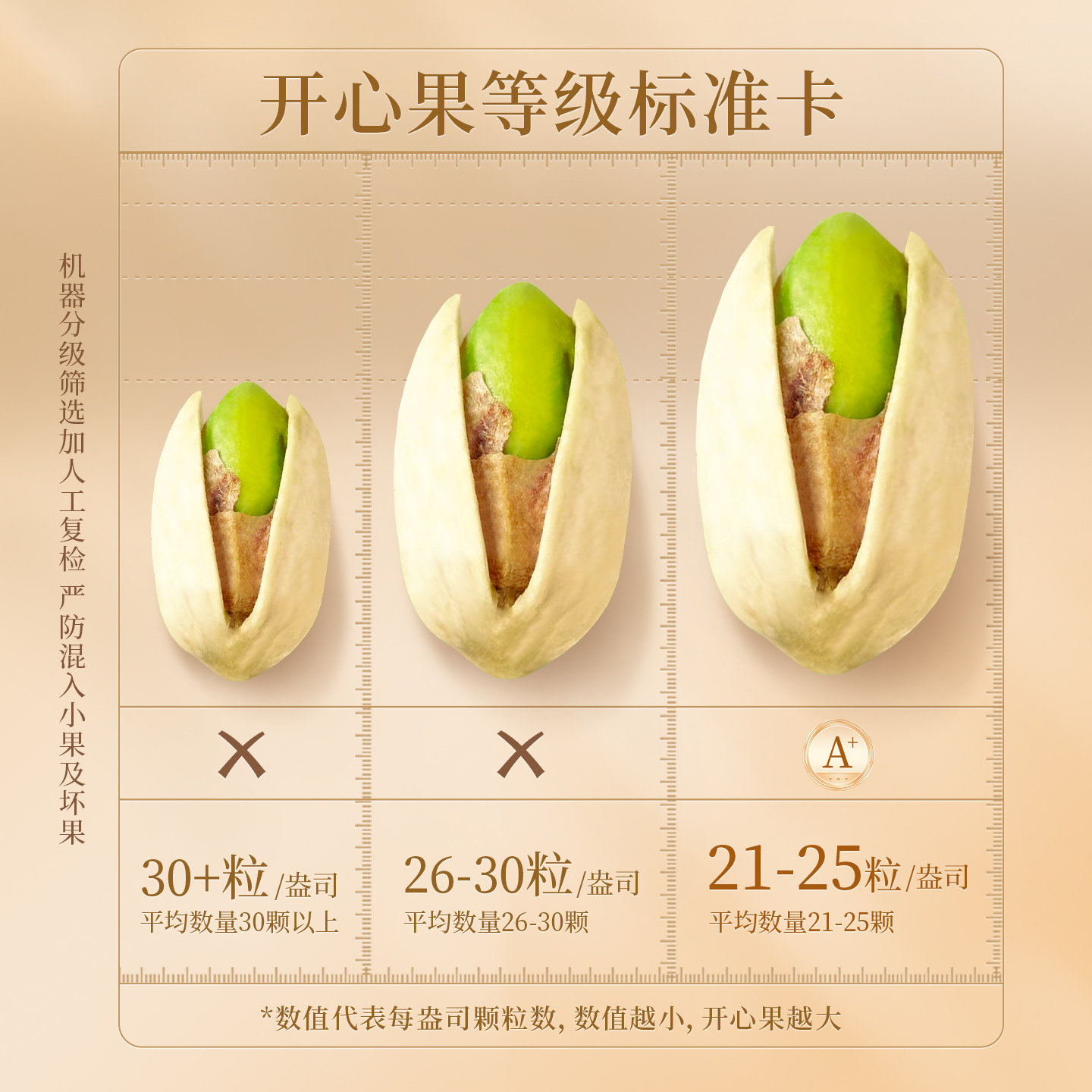 杭派开心果盐焗味干果小吃零食原色无漂白500g罐装开心果新品,淘宝优惠券,粉丝福利购,淘宝优惠卷