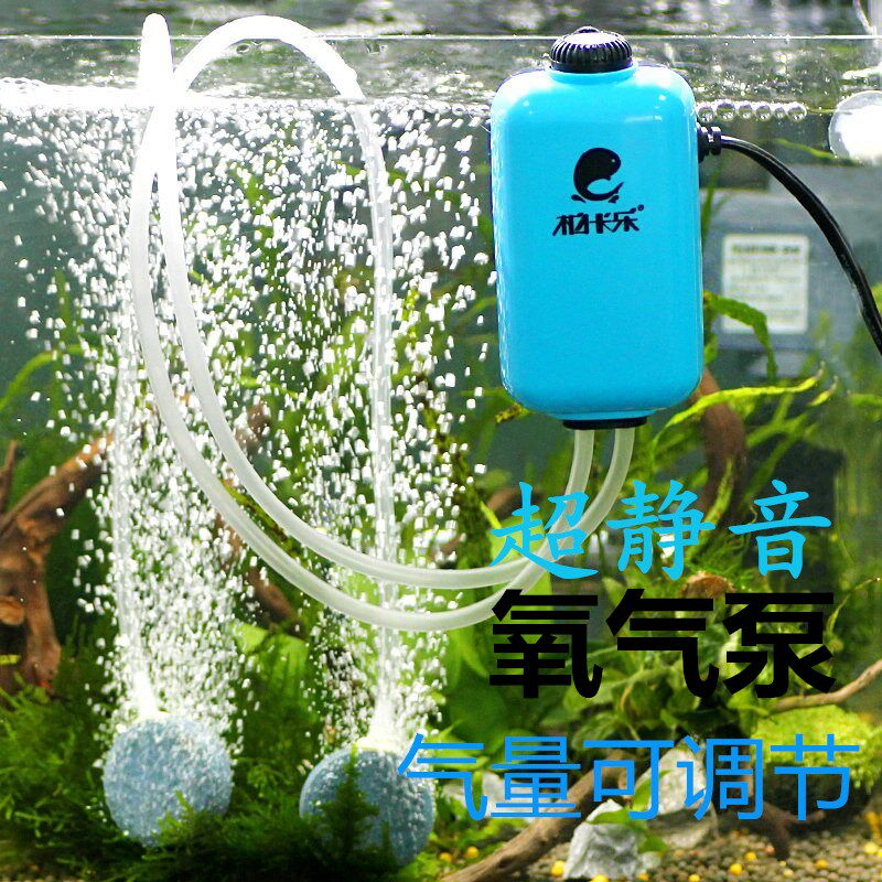 超小型金鱼 新人首单立减十元 21年7月 淘宝海外