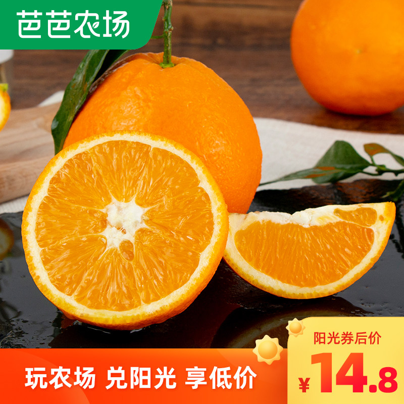 四川大凉山雷波脐橙正宗当季应季新鲜水果10斤大果现摘整箱包邮