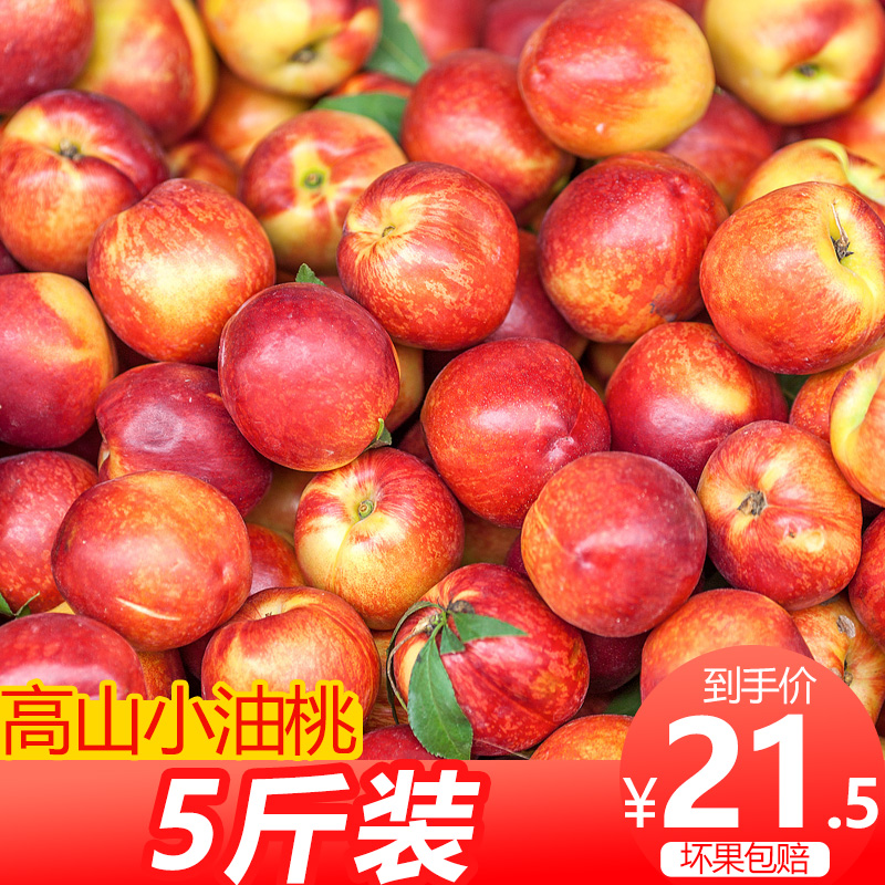 文大爷旗舰店四川小油桃新鲜水果净重5斤 攀枝花攀西高原白肉黄心脆桃子甜当季0