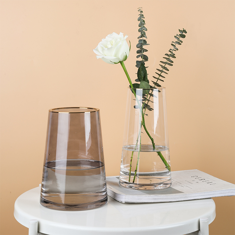 tinyhome轻奢描金北欧风装饰摆件玻璃花瓶透明创意餐桌INS插花器 - 图2