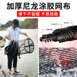 Четырех -летние магазины в магазинах более 20 цветов уход