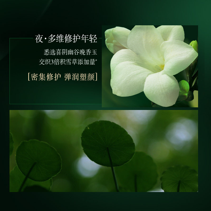 佰草集太极日夜面部补水紧致精华液 佰草集宜妆液态精华