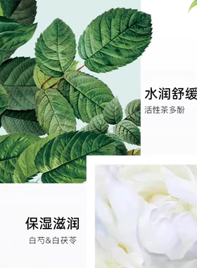 限时抢购!白茶睡眠面膜买一送一