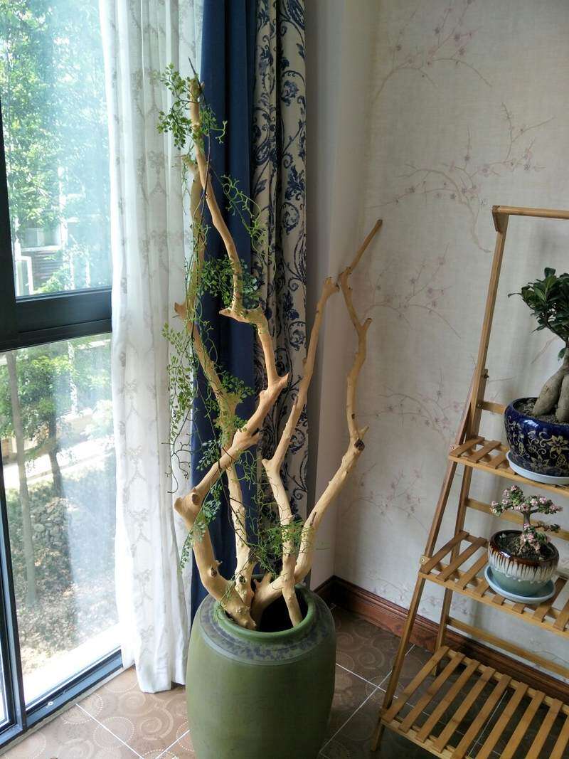 去皮树干枯树干干树枝衣架艺术造型干枝摆设创意家居摆件装饰树_虎窝淘