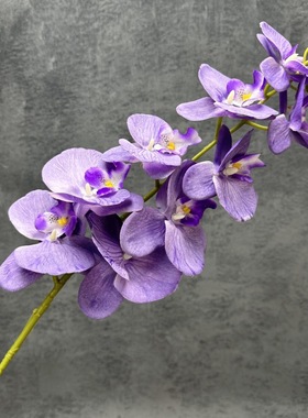 3d打印9头涂层绢布蝴蝶兰仿真花婚礼家居装饰布置假花摆件