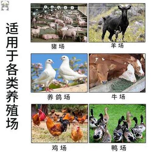 艾叶蚊香畜牧蚊香棒养殖场专用猪用兽用畜用猪场灭蚊棒-图3