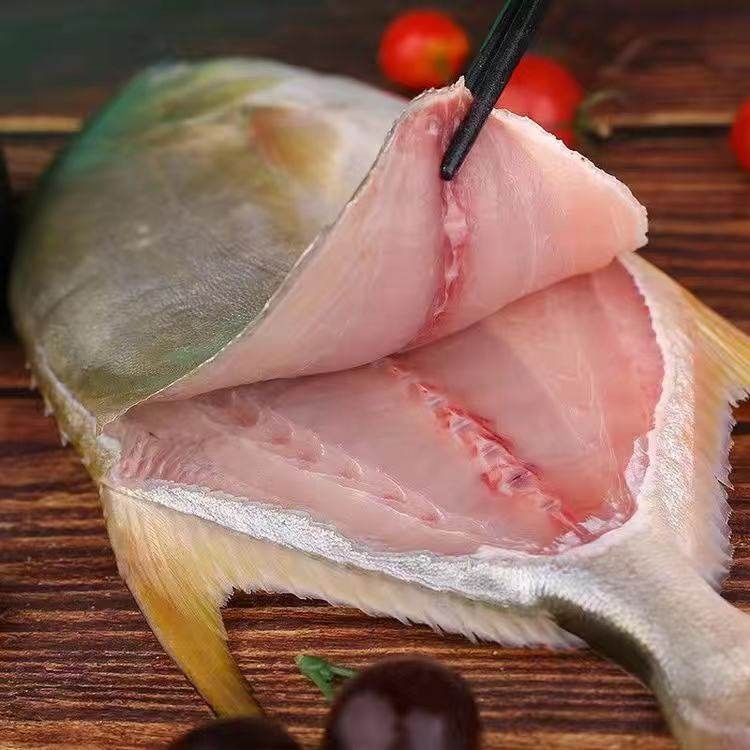 新鲜金鲳鱼特大冷冻海鱼深海鲳鱼金昌鱼平鱼冷冻海鲜水产批发商用,淘宝优惠券,粉丝福利购,淘宝优惠卷