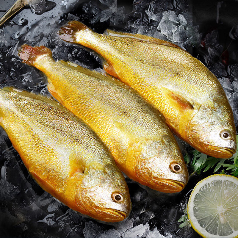 冰鲜大黄鱼鲜活冷冻缅甸黄花鱼新鲜海鱼速冻黄玉鲞海鲜水产商用,淘宝优惠券,粉丝福利购,淘宝优惠卷