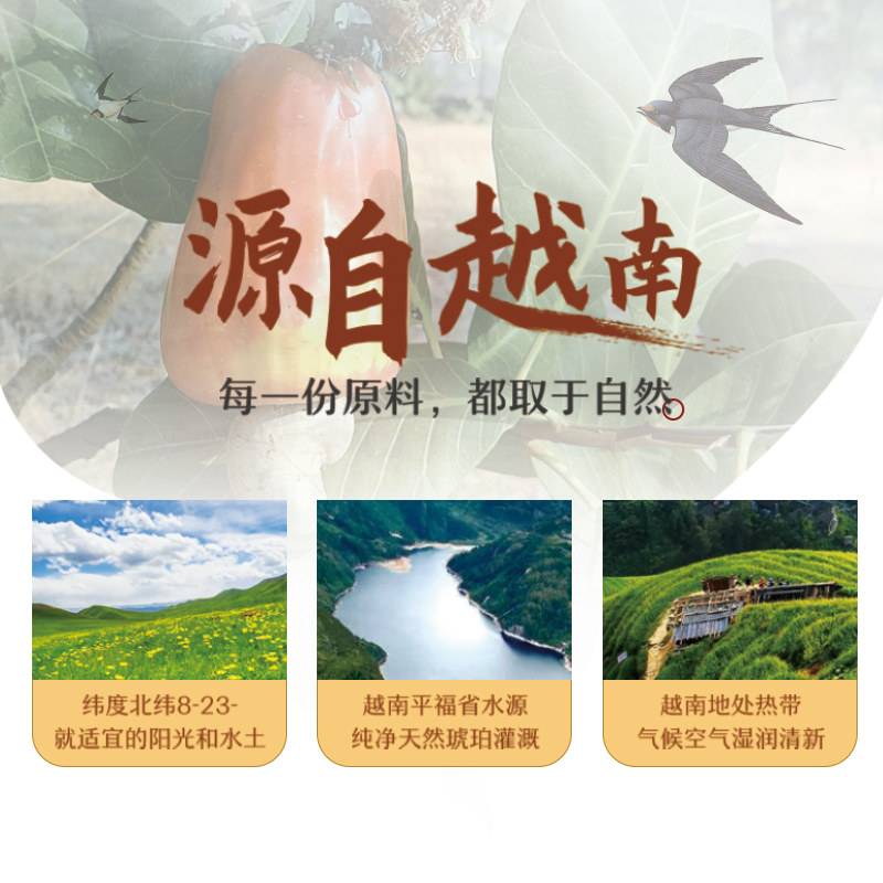 带皮腰果仁250g原味盐焗每日干坚果 外果侠腰果