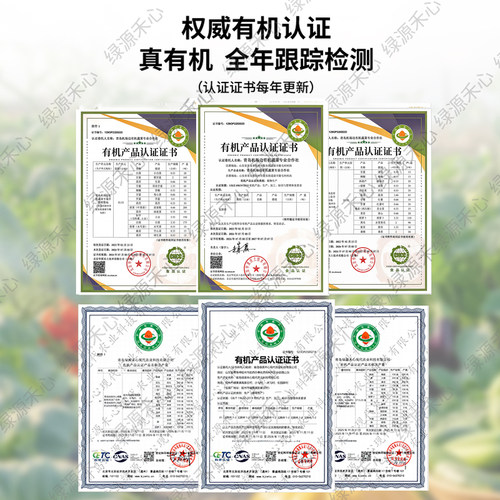 有机西兰花新鲜摘西蓝花绿花菜青花椰菜沙拉轻食营养辅食健康蔬菜 - 图2