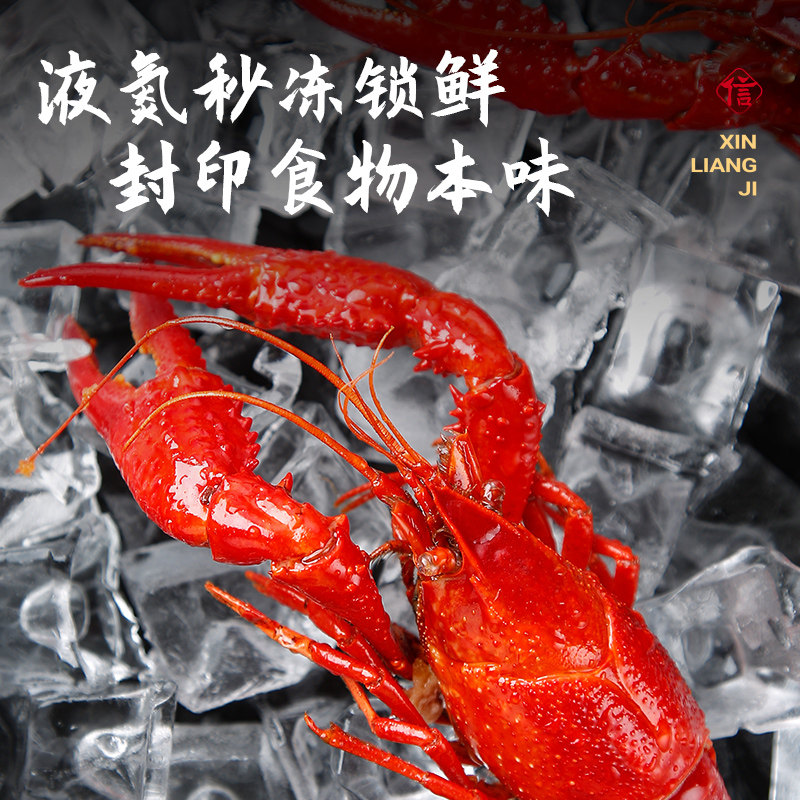 【6盒囤货装】湖北小龙虾 麻辣/蒜香小龙虾600g/盒 送礼加热即食