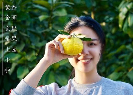 带果带土黄金贡柑苗 春香柚果树苗 盆栽象山青柚子苗果冻橙柑橘苗,淘宝优惠券,粉丝福利购,淘宝优惠卷