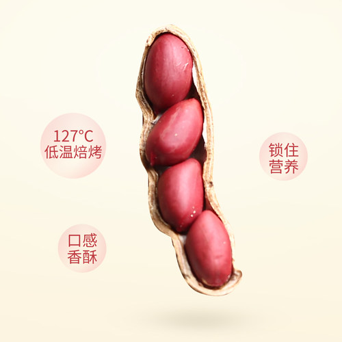 【金陵老太太】红皮花生带壳原味现炒熟炒货孕妇零食干货2025新货 - 图1
