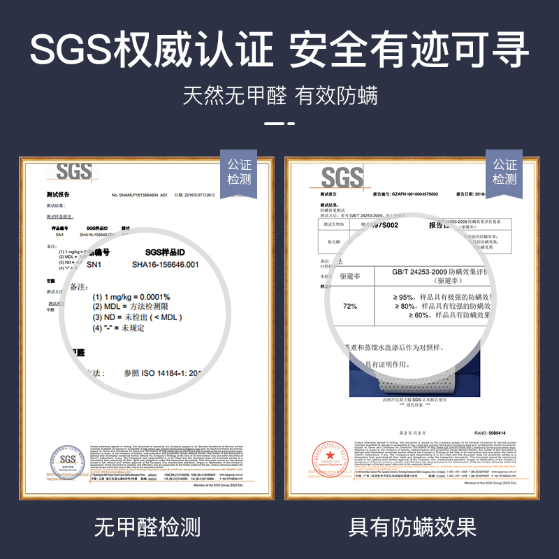 PATEX泰国进口乳胶枕头护颈椎女士按摩天然橡胶枕成人家用记忆枕
