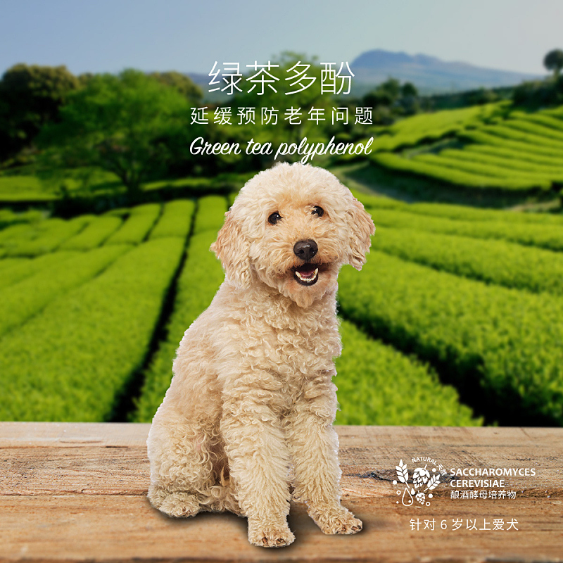 Petmaster佩玛思特氨糖鱼肉味6岁以上全价狗粮老年用犬主粮2kg - 图2